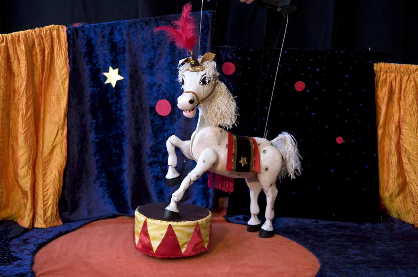 circus topsy paard